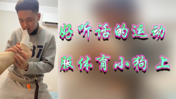 好听话的运动服体育小狗上