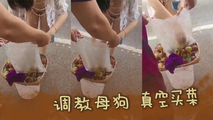 调教母狗 真空买菜