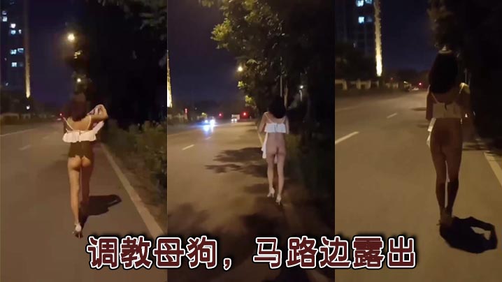 调教母狗，马路边露出