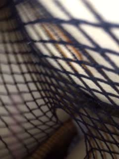 极品淫荡人妻_连体开裆渔网袜_口交肉棒一流_淫水直流抽插直打滑