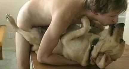 欧美金发小哥粗大肉棒猛操金毛犬兽穴人兽性交视频